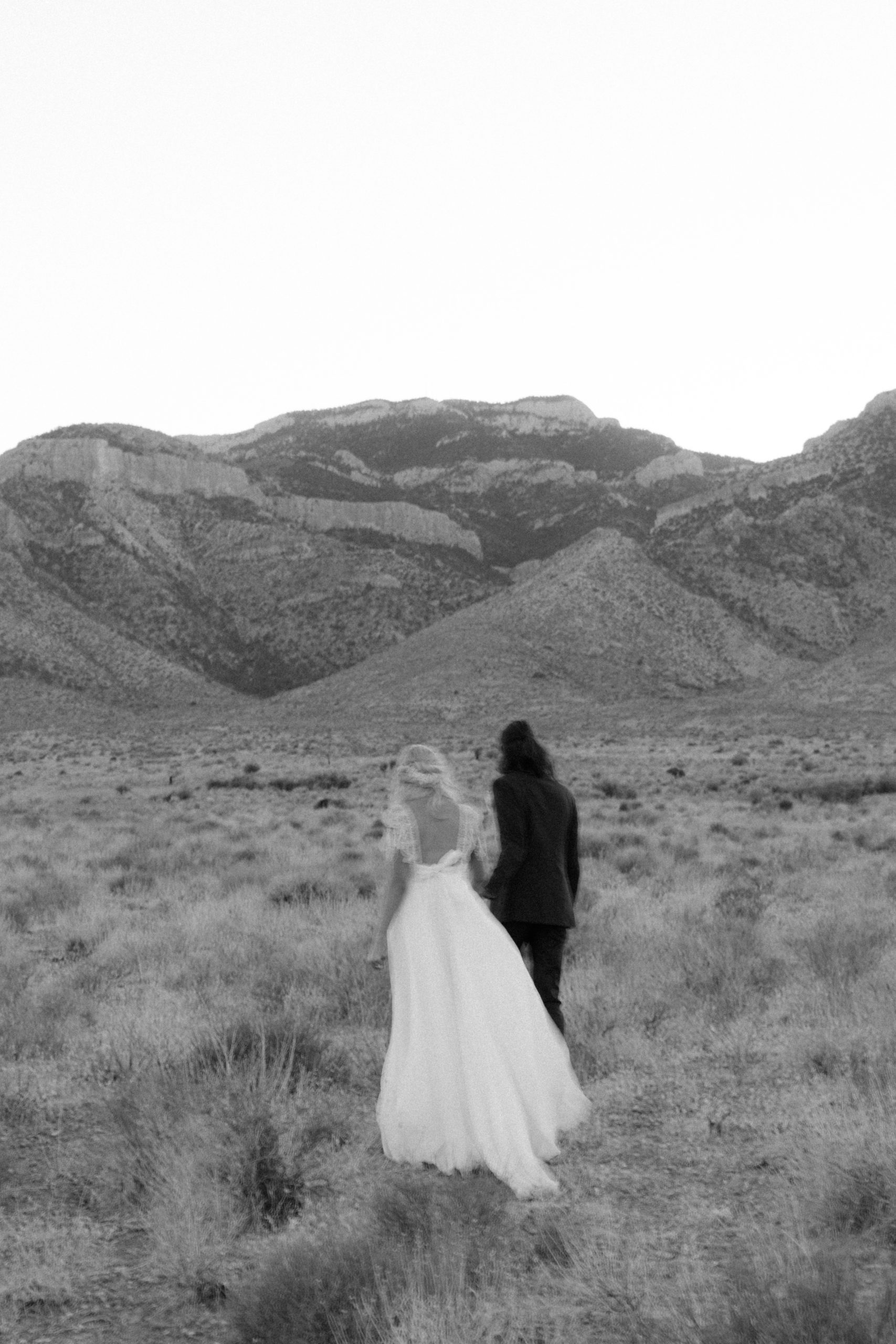Valley of Fire State Park Elopement