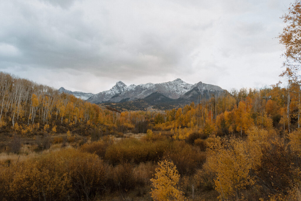 Stunning landscape of the mountains surrounding Telluride, with dramatic peaks towering over lush valleys and colorful foliage, capturing the beauty of the Colorado wilderness.